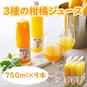【計9本セット】「伊藤農園」 3種の柑橘ジュース飲み比べセット | 皮の苦みが入らずスッキリとした味わいをお楽しみ頂けます