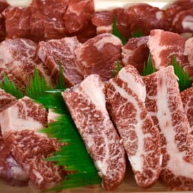 【450g】焼肉 炸  高級部位（カイノミ入り）1ポンドの焼肉・BBQセット