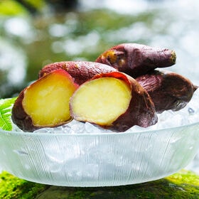 【計2.4kg】冷凍焼きいも 熊本県産 蜜芋「紅はるか」 | 冷たいままでも美味しい紅さつまの冷凍焼きいも!!
