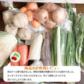 クール便 市場直送！ 国産 野菜セット 詰め合わせ 80サイズ