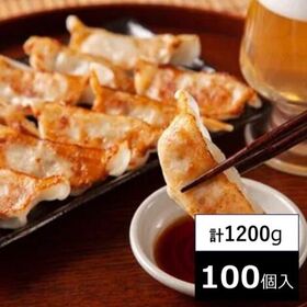 【1200g/100個】博多の屋台の一口餃子