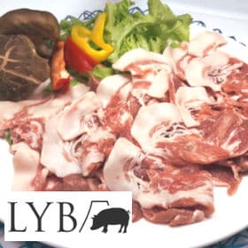 【計1kg/500g×2パック】富士山麓産 LYB豚 小間肉 | 年間出荷1,000頭の超希少なブランド豚！チョコレートのような口どけ！