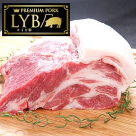 【計1kg/500g×2パック】富士山麓産 LYB豚 肩ロース 焼き肉用大判スライス