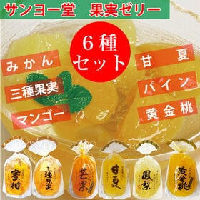 【6種計6袋】サンヨー堂 果実ゼリーセット | 新鮮果実がたっぷりで、柔らかいゼリー