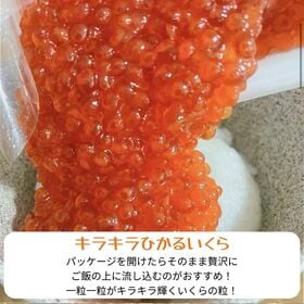 紅鮭 いくら醤油漬け【500g（250g×2）】