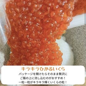 いくら醤油漬け【1kg（250g×4）】