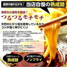 【2人前】お試しセット「さっぱり鰹だし アラスカ風つけ麺」ツルツルシコシコ熟成中華麺の旨味ダシつけ麺