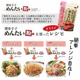 【20g×2袋】粉になった明太子！？めんたい粉《ふりかけグランプリ入賞》お手軽サイズ