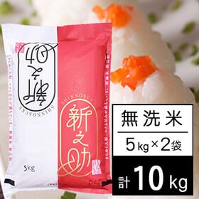 【計10kg/5kg×2袋】令和5年産 新潟県中越産 新之助 無洗米 | きらめく大粒、コクと甘み