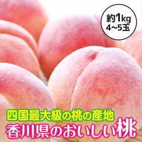 【約1kg(4~5玉入)】香川県産 桃(もも) 四国最大の桃の産地