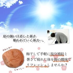 【1kg】紀州南高梅つぶれ梅・はちみつ　梅干し