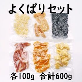 【計600g】ドライフルーツ 6種詰合せセット【6種×100g】