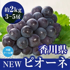 【予約受付】9/2~順次出荷【約2kg(3-5房)】香川県産 ニューピオーネ | 深い甘みとほどよい酸味がたまらない♪香川県人気のブドウ
