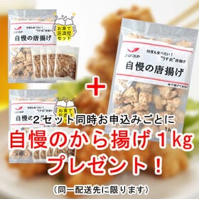 【計1.6kg】お家で居酒屋2種セット♪「全国約200店舗の鉄板焼き店で提供☆牛すじ煮込4食」