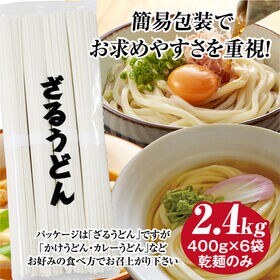 【計2.4kg(400g×6袋)】たっぷり川田製麺所 本場さぬきうどん