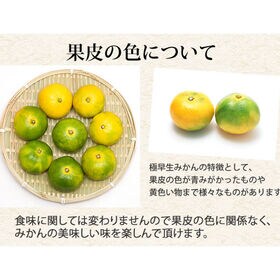 【予約受付】9/23~順次出荷【5kg】 熊本みかん 極早生 秀品