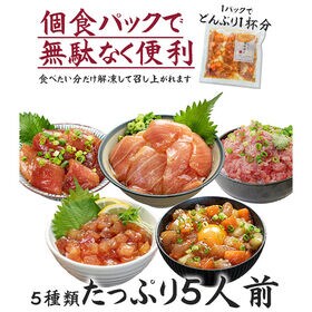 まぐろ丼5種セット 大トロ漬け イカ サーモン ネギトロ [まぐろ丼5種セット]