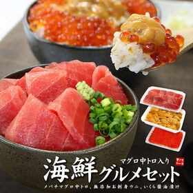 【計270g】中トロ入り海鮮セットマグロ中トロ ウニ イクラ 刺身 海鮮丼  [[中トロ海鮮セット]