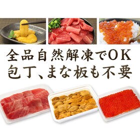 【計270g】中トロ入り海鮮セットマグロ中トロ ウニ イクラ 刺身 海鮮丼  [[中トロ海鮮セット]