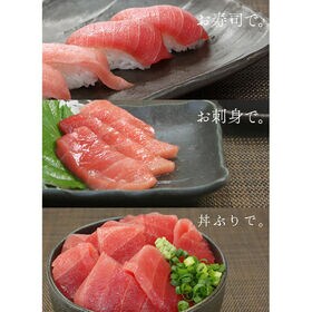 【300g】本マグロ中トロ 解凍レシピ付 刺身 海鮮 食べ物 [[中トロ300]