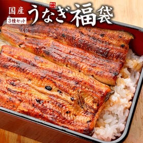 国産うなぎ福袋 長蒲焼き160-170g きざみうなぎ80g 肝串焼き2本 [[国産うなぎ福袋]