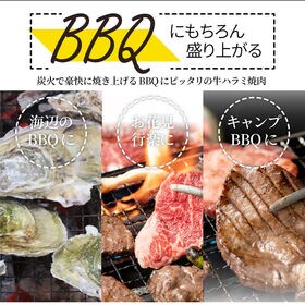 【計2.45kg】牡蠣焼き バーベキュー 焼肉 セット  5種盛り 肉 海鮮 殻付き牡蠣