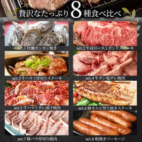 【計3.4kg】蠣焼き バーベキュー 焼肉 ステーキ セット  8種盛り 肉 海鮮 殻付き牡蠣