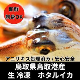 【10kg】鳥取県産 生ホタルイカ | 刺身・・沖漬け・寿司・パスタ・塩辛等々様々な料理にも！新鮮な生ホタルイカ