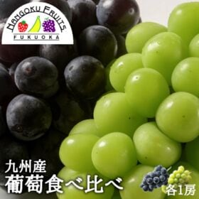 【九州】各1房　葡萄食べ比べ (ピオーネ＆シャインマスカット...