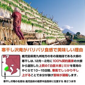 【大人気3種】九州産寒干し沢庵 3袋セット「甘口醤油」「たまり漬」「梅酢」