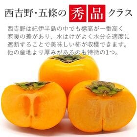 【予約受付】10/5~順次出荷【約3.5kg】「秀品」奈良県産 種なし柿 平核無柿・刀根柿