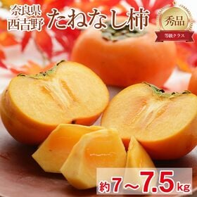 【予約受付】10/5~順次出荷【約7kg~7.5kg】「秀品」奈良県産 種なし柿 平核無柿・刀根柿 | 甘み!食感!果汁!の種なし柿