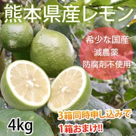 【予約受付】10/4~順次出荷【4kg(2S-L)】熊本県産...