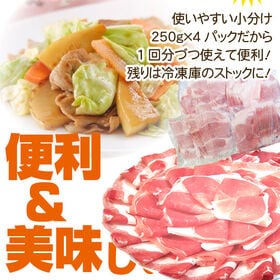 【計1kg(250g×4パック)】国産豚 ウデ切り落とし