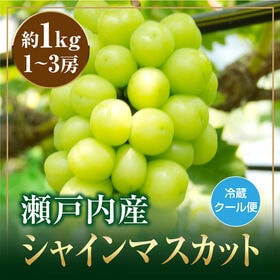 【約1kg(1-3房)】瀬戸内産シャインマスカット | 毎年大反響♪ 皮ごと食べれる記憶に残る甘さと香りがたまらない♪