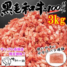 【3kg(500g×6)】九州産黒毛和牛 ミンチ肉＜サンプル百貨店限定＞