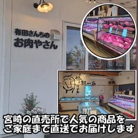 【3kg(500g×6)】九州産黒毛和牛 ミンチ肉＜サンプル百貨店限定＞