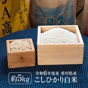 【約5kg】令和6年度産 新米 香川県産コシヒカリ《備蓄にも最適》