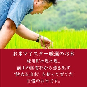 【約5kg】令和6年度産 新米 香川県産コシヒカリ《備蓄にも最適》