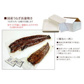 【500g】国産 うなぎ蒲焼き 身割れ・不揃い かばやき 海鮮 [[ウナギ蒲焼き500g]