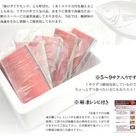 【1kg】本マグロ中トロ 解凍レシピ付 刺身 海鮮 食べ物 メガ盛り[[本鮪中トロセット1kg]