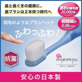 【カラーおまかせ】プラチナナノ歯ブラシmanmou