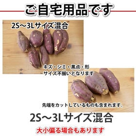 【予約受付】10/21~順次出荷【箱込約5kg】熊本・宮崎県産 シルクスイート(ご家庭用・傷あり)