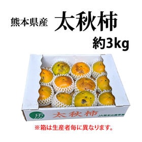 【予約受付】10/22~順次出荷【約3kg】熊本・福岡県産 太秋柿(ご家庭用・傷あり)