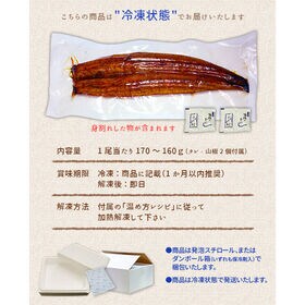 【160g-170g×3尾】うなぎ ウナギ 国産 長蒲焼き  [[ウナギ長蒲焼き-3p]