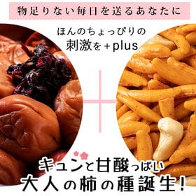 【500g】 山盛り柿の種とカシューナッツ　キュンとする梅