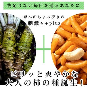 【500g】 山盛り柿の種とカシューナッツ　ツーンとするわさび