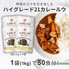 【計4kg/1kg×4袋】テーオー食品 ハイグレード21 カレールウ | チーズやココナッツミルクの風味を加え、特有のコクを引き出したカレールゥ