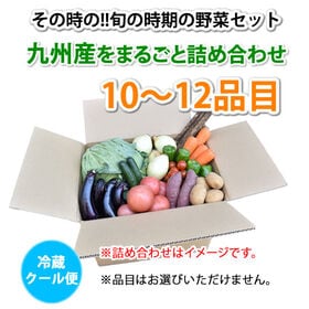 〈クール便でお届け〉野菜セット 10~12品目 九州産