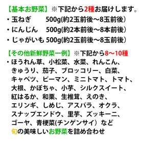 〈クール便でお届け〉野菜セット 10~12品目 九州産